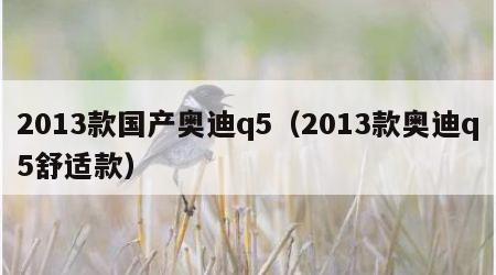 2013款国产奥迪q5（2013款奥迪q5舒适款）