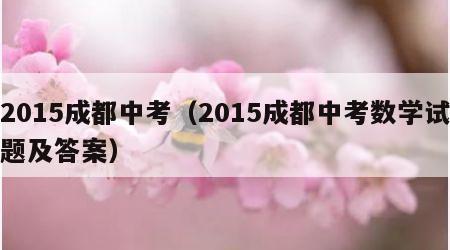 2015成都中考（2015成都中考数学试题及答案）