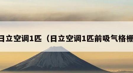 日立空调1匹（日立空调1匹前吸气格栅）