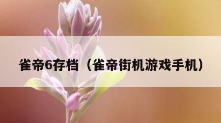 雀帝6存档（雀帝街机游戏手机）