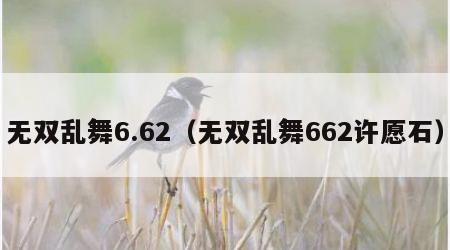 无双乱舞6.62（无双乱舞662许愿石）