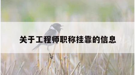 关于工程师职称挂靠的信息