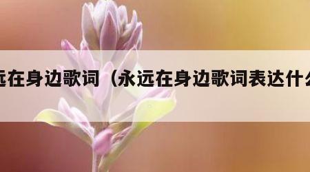 永远在身边歌词（永远在身边歌词表达什么情感）