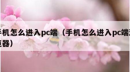 手机怎么进入pc端（手机怎么进入pc端浏览器）