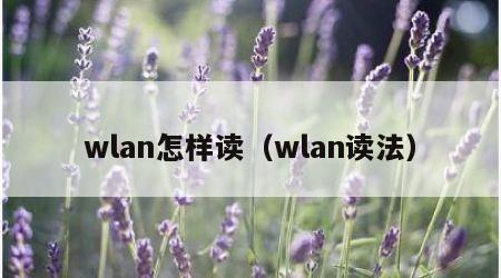 wlan怎样读（wlan读法）