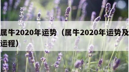 属牛2020年运势（属牛2020年运势及运程）