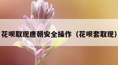 花呗取现唐朝安全操作（花呗套取现）