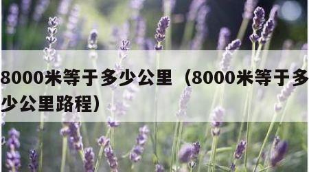 8000米等于多少公里（8000米等于多少公里路程）