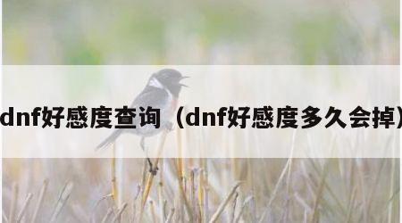 dnf好感度查询（dnf好感度多久会掉）