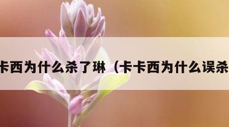 卡卡西为什么杀了琳（卡卡西为什么误杀琳）