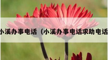 小溪办事电话（小溪办事电话求助电话）