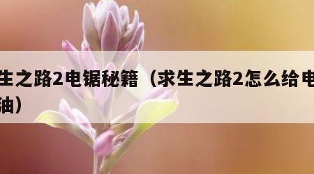 求生之路2电锯秘籍（求生之路2怎么给电锯加油）