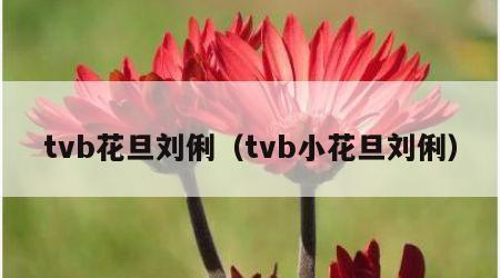 tvb花旦刘俐（tvb小花旦刘俐）