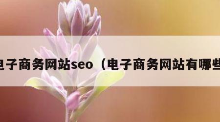 电子商务网站seo（电子商务网站有哪些）