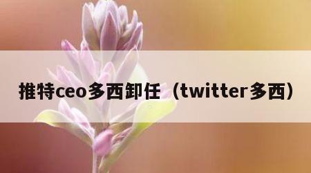 推特ceo多西卸任（twitter多西）