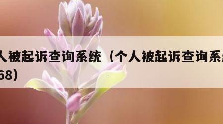 个人被起诉查询系统（个人被起诉查询系统12368）