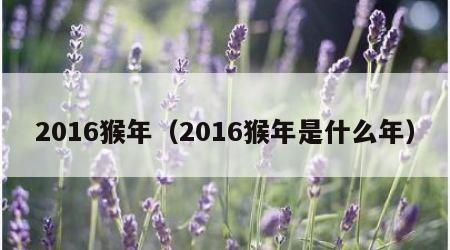 2016猴年（2016猴年是什么年）