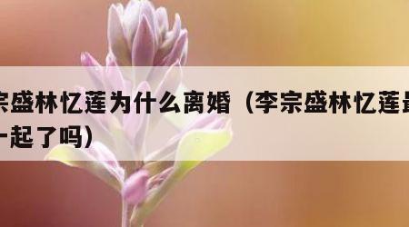 李宗盛林忆莲为什么离婚（李宗盛林忆莲最后在一起了吗）