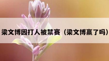 梁文博因打人被禁赛（梁文博赢了吗）