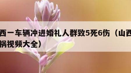 山西一车辆冲进婚礼人群致5死6伤（山西出车祸视频大全）