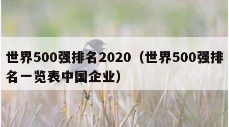 世界500强排名2020（世界500强排名一览表中国企业）