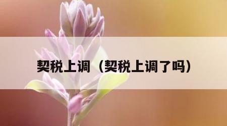 契税上调（契税上调了吗）