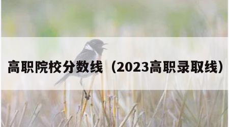 高职院校分数线（2023高职录取线）