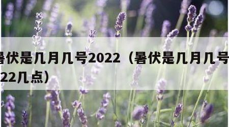 暑伏是几月几号2022（暑伏是几月几号2022几点）