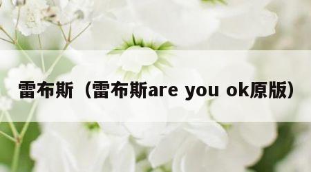 雷布斯（雷布斯are you ok原版）