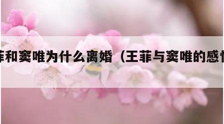 王菲和窦唯为什么离婚（王菲与窦唯的感情史）