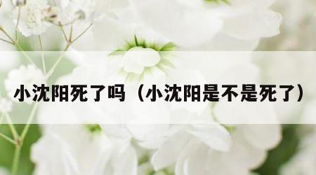 小沈阳死了吗（小沈阳是不是死了）