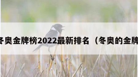 冬奥金牌榜2022最新排名（冬奥的金牌）