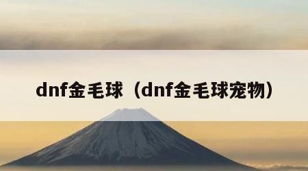 dnf金毛球（dnf金毛球宠物）