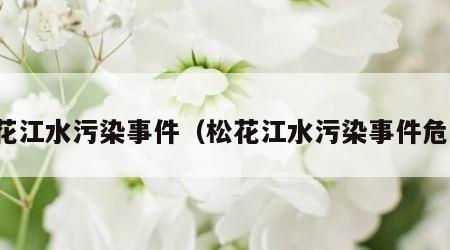 松花江水污染事件（松花江水污染事件危害）