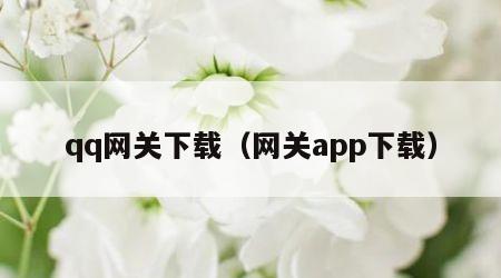 qq网关下载（网关app下载）