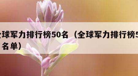 全球军力排行榜50名（全球军力排行榜50名名单）