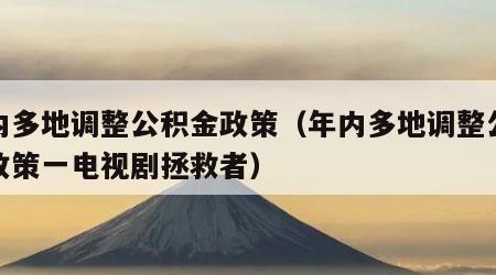 年内多地调整公积金政策（年内多地调整公积金政策一电视剧拯救者）