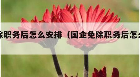 免除职务后怎么安排（国企免除职务后怎么安排）