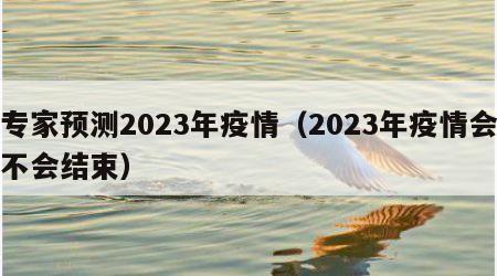 专家预测2023年疫情（2023年疫情会不会结束）