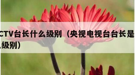 CCTV台长什么级别（央视电视台台长是什么级别）