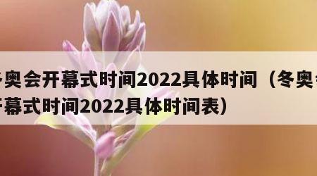 冬奥会开幕式时间2022具体时间（冬奥会开幕式时间2022具体时间表）